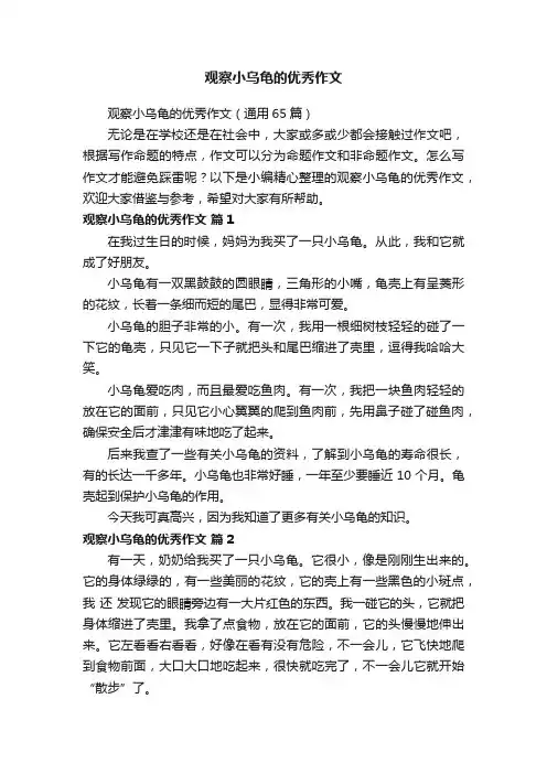 观察小乌龟的优秀作文（通用65篇）