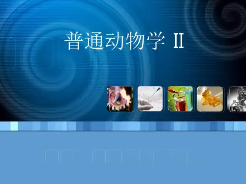 普通动物学II  实验动物学课件
