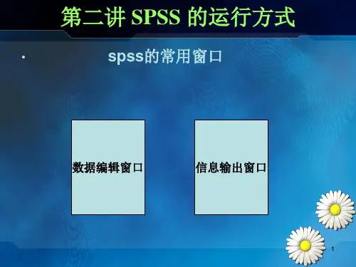 SPSS运行方式PPT课件