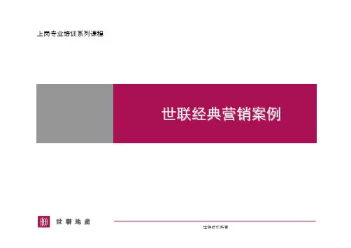 世联经典营销案例(20090513)