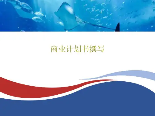 商业计划书撰写30页PPT