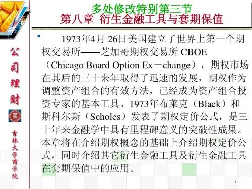 C8y第八章衍生金融工具与套期保值