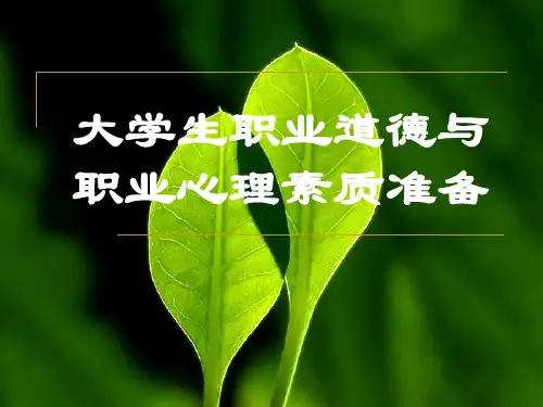 就业心理准备及调适 PPT课件