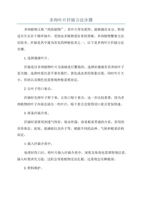 多肉叶片扦插方法步骤