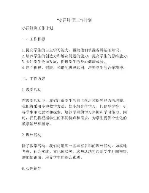 “小洋钉”班工作计划