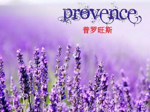 普罗旺斯