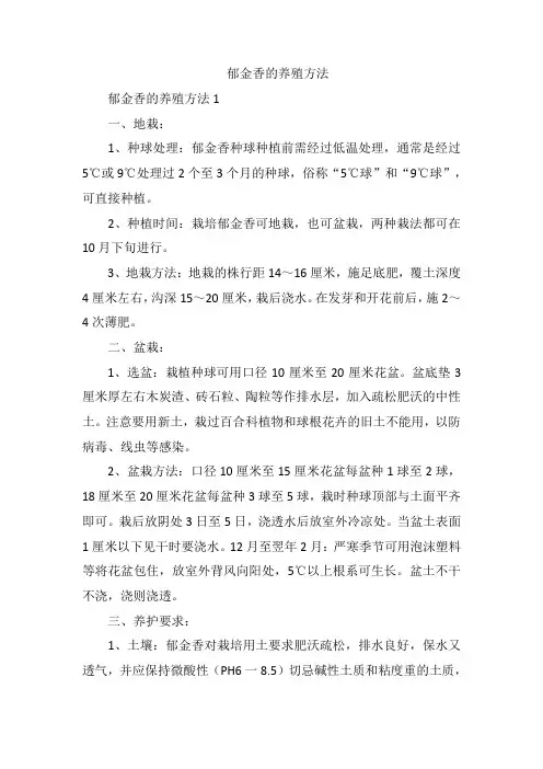 郁金香的养殖方法