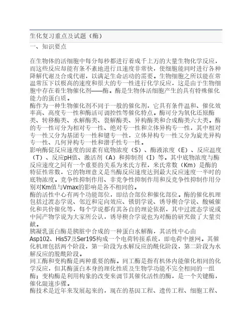 生化复习重点及试题酶