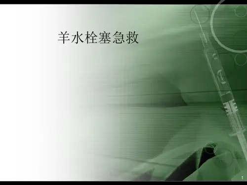 羊水栓塞的急救PPT课件