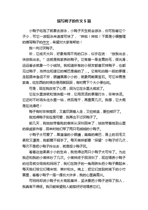 描写鸭子的作文5篇