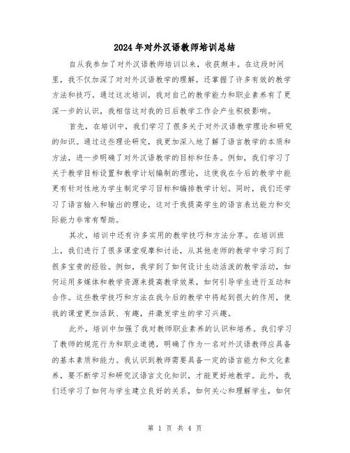 2024年对外汉语教师培训总结(二篇)