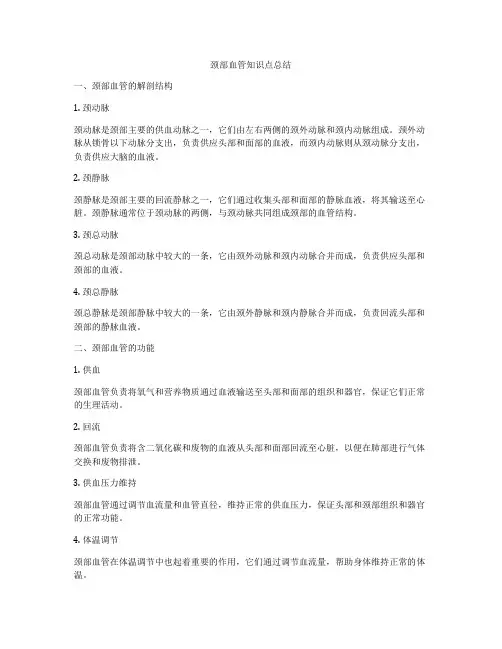 颈部血管知识点总结