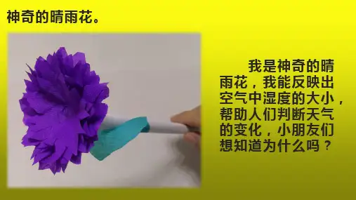 2、《天气的影响》教学设计PPT