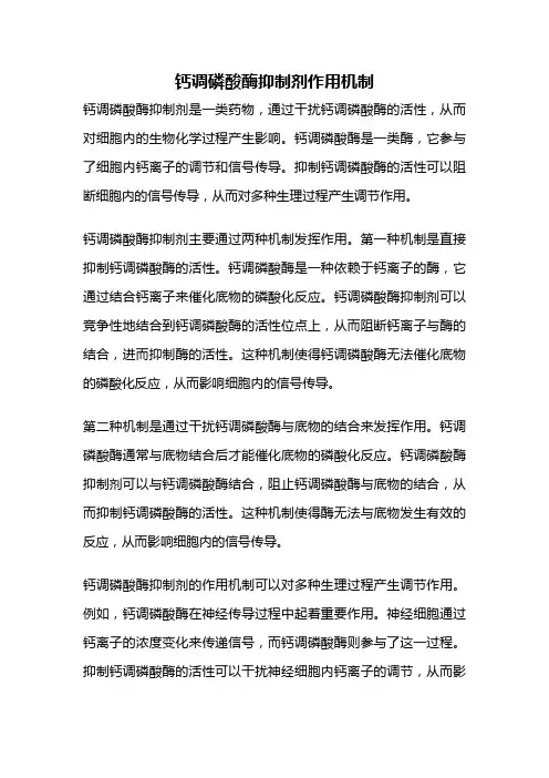 钙调磷酸酶抑制剂作用机制