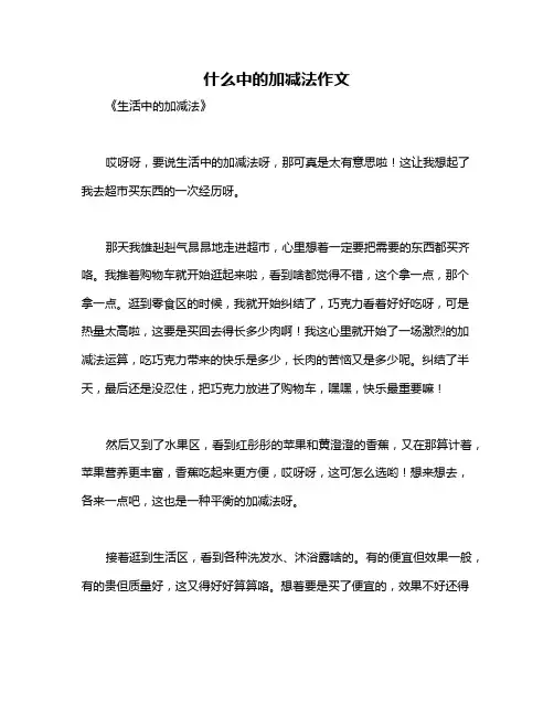 什么中的加减法作文