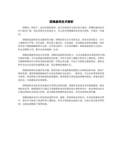 国槐栽培技术探析