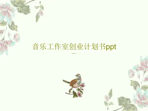 音乐工作室创业计划书ppt共77页