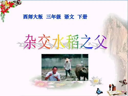 【小学教育】三年级下册语文第35课《杂交水稻之父 教学PPT课件》