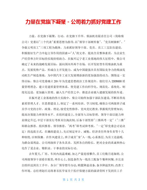 力量在党旗下凝聚-公司着力抓好党建工作