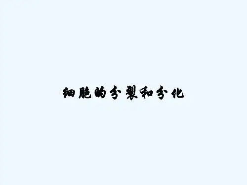 细胞的分裂和分化-PPT