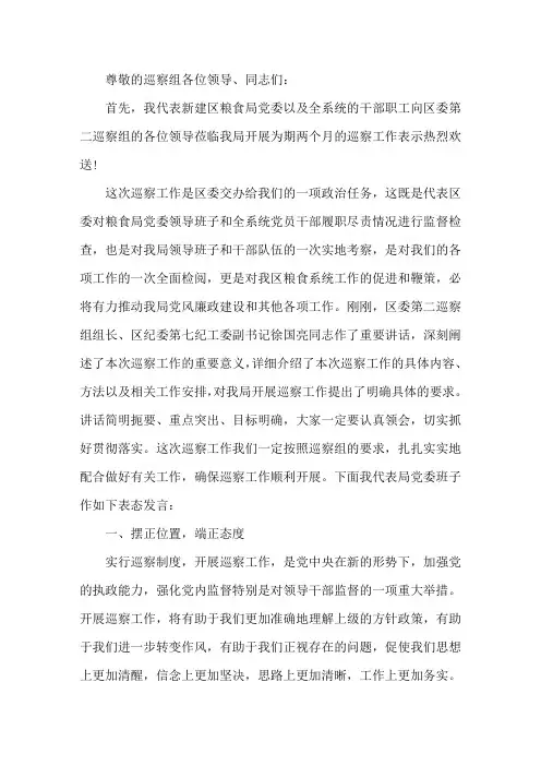 在巡察工作动员会上的表态发言2020精选
