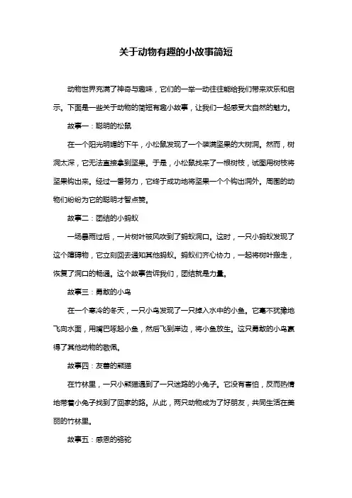 关于动物有趣的小故事简短