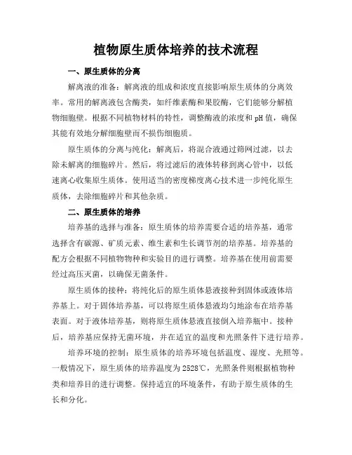 植物原生质体培养的技术流程