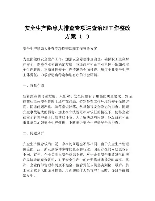 安全生产隐患大排查专项巡查治理工作整改方案 (一)