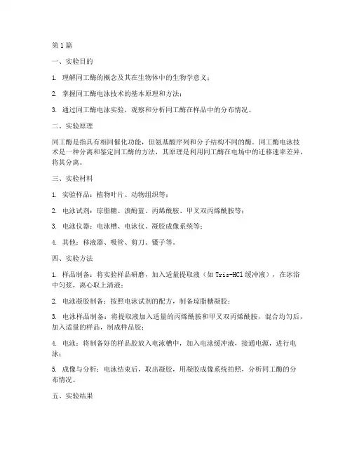 同工酶实验报告(3篇)