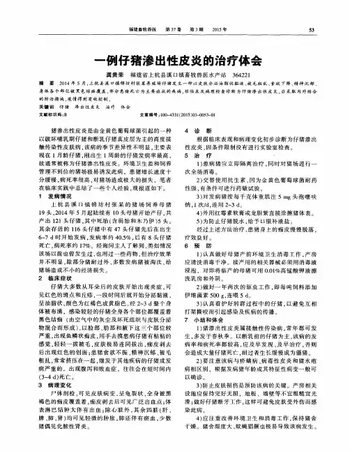 一例仔猪渗出性皮炎的治疗体会