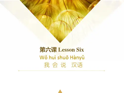 HSK1第6课我会说汉语
