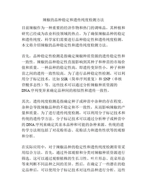 辣椒的品种稳定和遗传纯度检测方法
