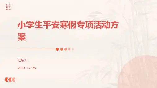 小学生平安寒假专项活动方案