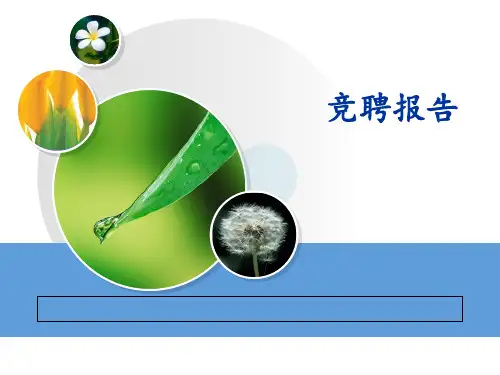 项目安全部经理竞聘演讲稿PPT课件