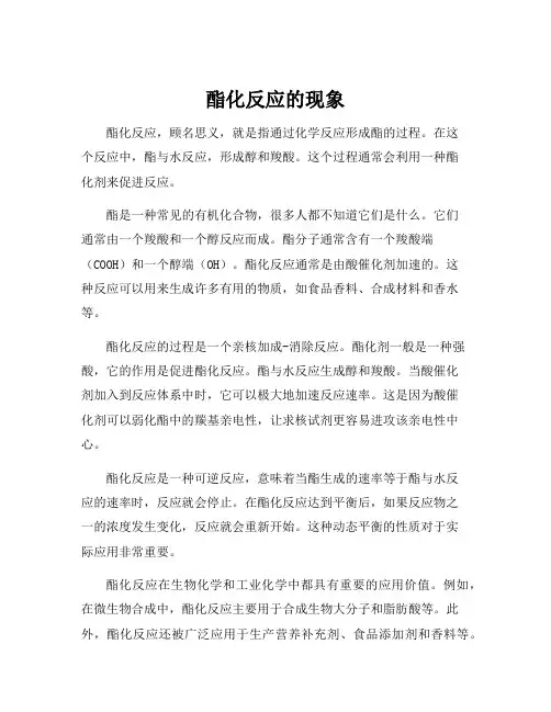 酯化反应的现象
