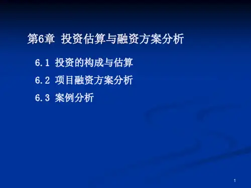 项目投资估算与资金筹措