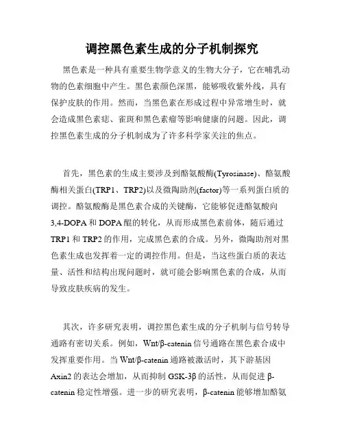 调控黑色素生成的分子机制探究