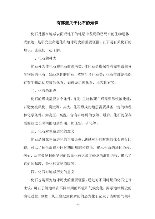 有哪些关于化石的知识