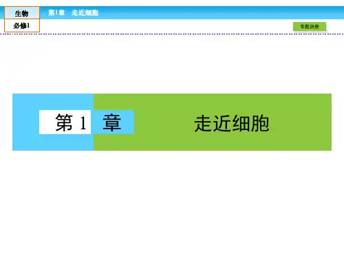 (人教版)高中生物必修一第1章全章章末高效整合精讲课件