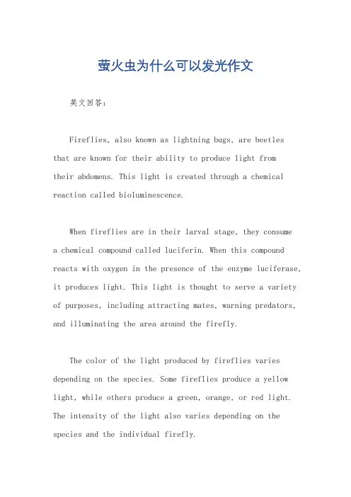 萤火虫为什么可以发光作文