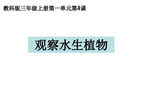 三上一4观察水生植物 夏维PPT课件