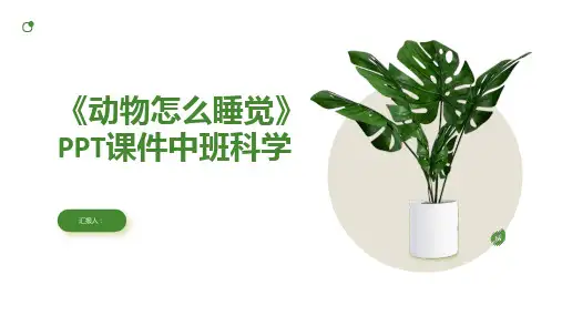 《动物怎么睡觉》PPT课件中班科学