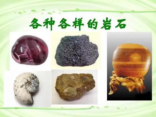 《各种各样的岩石》岩石和矿物PPT课件(上课用)