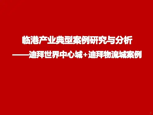 临港产业典型案例研究与分析——迪拜世界中心城+迪拜物流城案例
