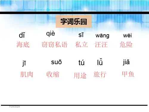 海底世界ppt课件完美版