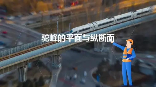 编组站与驼峰调车设备 驼峰的平面与纵断面