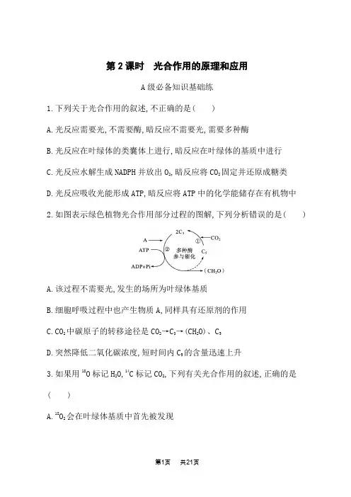 人教版高中生物学必修1课后习题 第5章 细胞的能量供应和利用 第4节 第2课时 光合作用的原理和应用