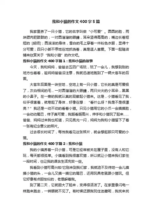 我和小猫的作文400字5篇