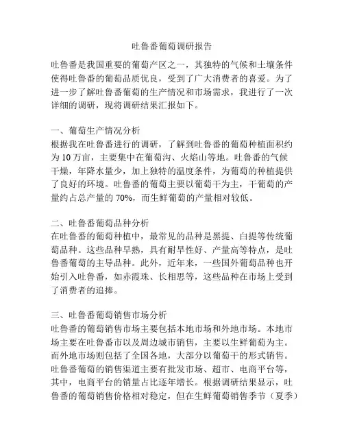 吐鲁番葡萄调研报告