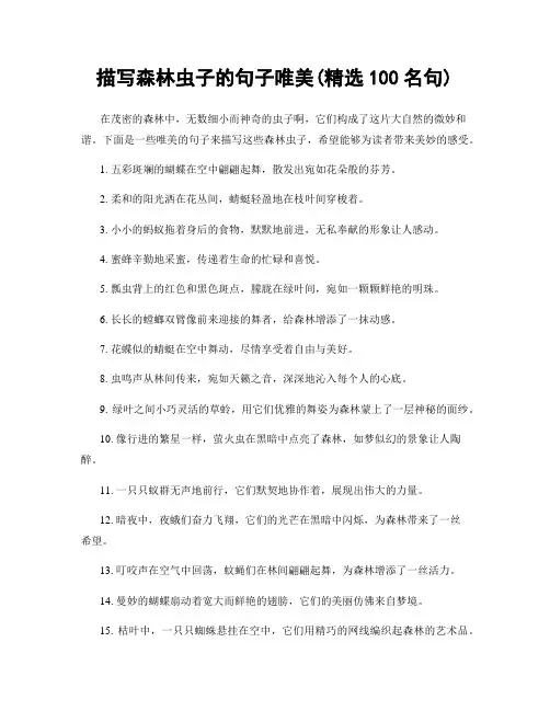 描写森林虫子的句子唯美(精选100句)